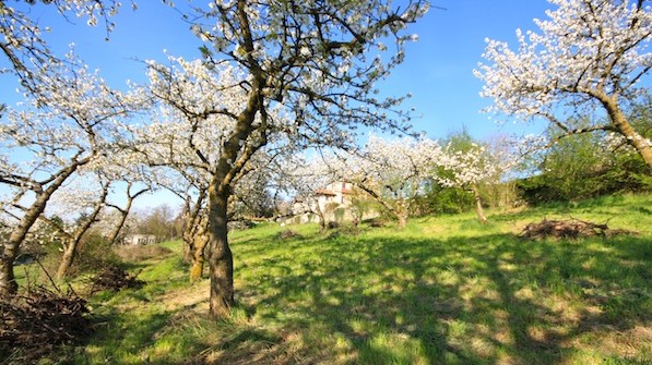 Cours d’introduction à la permaculture dans le Rhône