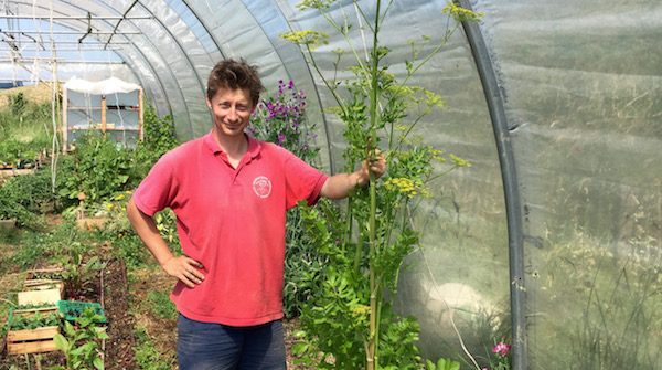 Pratique de permaculture