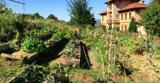 Jardin et permaculture : chantier participatif