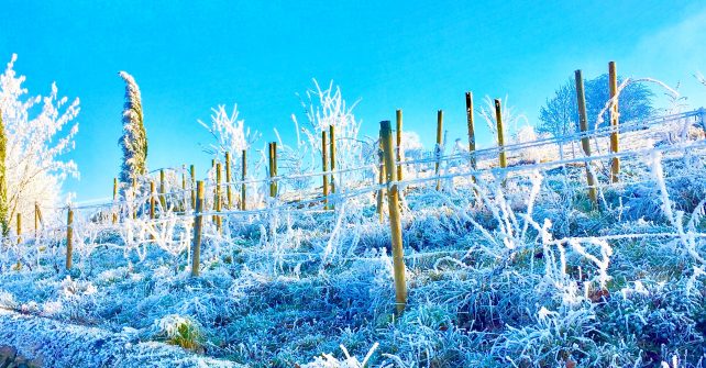 Une journée en permaculture dans le RHONE
