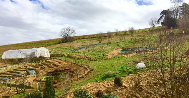 Une journée dans le jardin en permaculture de La Source dorée