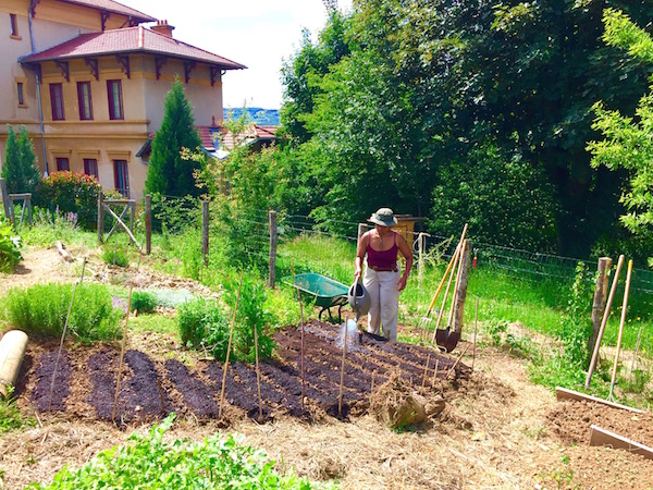 permaculture potager